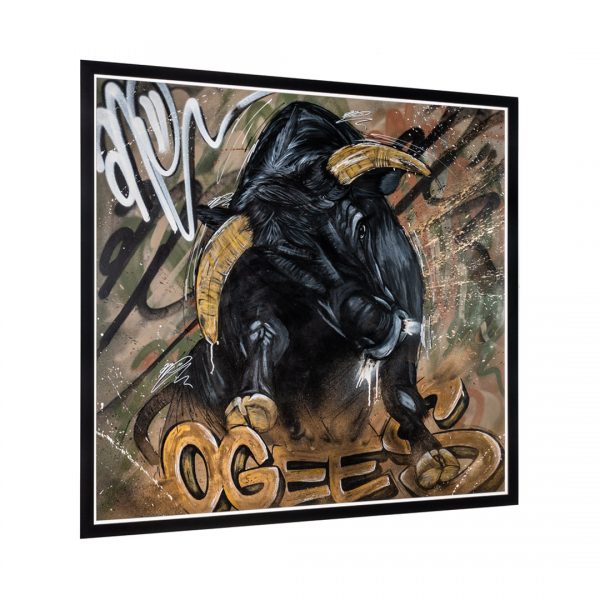 can gallery ogees bull