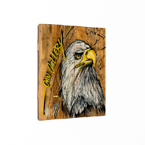 can gallery graffiti bald eagle