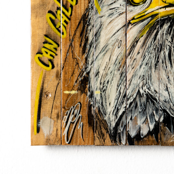 can gallery graffiti bald eagle