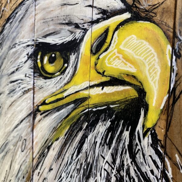can gallery graffiti american bald eagle