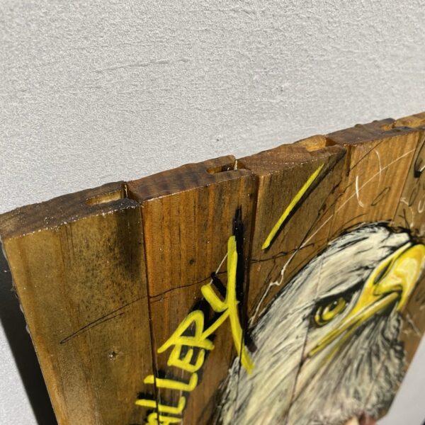can gallery graffiti american bald eagle